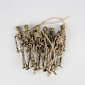 Miniatyrbillede 6 af 6: Poseable skelet legetøj Lille skelet figur menneskelige skelet 8 pcs