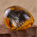 Pikkukuva 5 / 10: Butterfly Amber Stone Hyönteinen Spcimen Riipus SCORPION SCORPION scorpion
