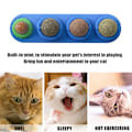 Miniatyrbild 10 av 10: Natural Catnip Cat Wall Stick-on pallolelu VIHREÄ green