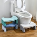 Miniatyrbild 7 av 9: Toalett Pottpall Toalettsits Pall BLÅ blue