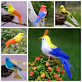 Pikkukuva 4 / 10: Faux Feather Bird Model Simulation Parrot 3 3 3