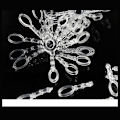 Miniatyrbillede 8 af 9: PE Pellet Bait Bands Oval agn loop Baitbands