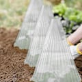 Pikkukuva 10 / 10: 10 KPL kasvinsuojelun etanan kaulus LÄPINÄPÄVÄ LÄPINÄKYVÄ Transparent