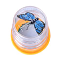 Miniatyrbillede 7 af 10: Bug Viewer Insect Box Magnifier 04 04 04
