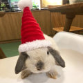 Miniatyrbild 1 av 10: Lizard Tomte Hatt Kanin Withscarf Juldräkt 01 01 01
