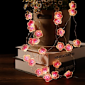 Miniatyrbillede 8 af 10: Cherry Blossom Light String Gårdslampe String PINK pink