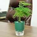 Pikkukuva 7 / 10: 1/2 kpl Itsekastelu kukkaruukku Lazy Kukkaruukku GREEN M Green M