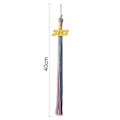 Pikkukuva 2 / 10: 2023 Tassel Graduation Cap TYYPPI C TYYPPI C Type C