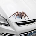 Miniatyrbild 4 av 10: 3D Bildekal Autodekor Spider Crawling SCORPION Scorpion