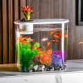 Miniatyrbild 3 av 10: Goldfish Bowl Goldfish Tank 4 4 4