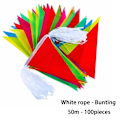 Miniatyrbilde 1 av 10: Bunting Triangle Flags 50MA A 50MA