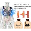 Miniatyrbillede 9 af 10: Lymphvity Detoxification BH Formet Undertøj SORT XL black XL