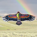 Miniatyrbild 7 av 10: Eagle Kite Bird Drakar TYP C TYP C Type C