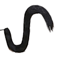 Miniatyrbillede 1 af 10: Rævehale Masquerade Hale SORT black