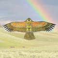 Miniatyrbild 6 av 10: Flat Eagle Kite Bird Kites TYP A TYPE A Type A
