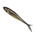 Miniatyrbillede 1 af 9: 2 stk 3D Fiskeri Trolling Agn Bløde Fiskelokker D D D