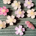 Miniatyrbild 4 av 8: Sakura Pushpins Cherry Blossom Thumb Tacks Push Pins