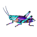 Pikkukuva 1 / 10: Beetle Wall Sisustus Kodin askartelu F F F
