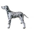 Miniatyrbilde 1 av 10: Simulering Dyr Oppblåsbar Ballong Modell HUND HUND