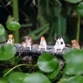 Miniatyrbild 4 av 10: Fiskekattprydnader Katter Fiskefigur 3 3 3