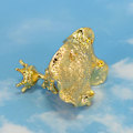 Miniatyrbillede 6 af 10: Frog Display Holder Krystalkugle Base F F F