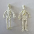Pikkukuva 6 / 10: 24 kpl Skull Doll Skeleton Riipus 6CM4 VÄRIT 4 VÄRIÄ 6cm4 Colors