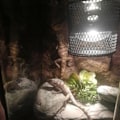 Miniatyrbilde 10 av 10: Keramikk Lampe Sokkel Lampe Sokkel Holder EU PLUG EU PLUG EU Plug