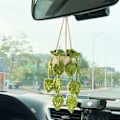 Miniatyrbild 9 av 10: Växthänge Virkade växter hängande C C C