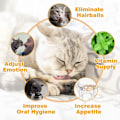 Miniatyrbillede 4 af 6: Catnip Balls Cat Mint Cat Legetøj