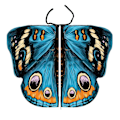 Miniatyrbillede 1 af 10: Butterfly Wings Sjal Butterfly Tørklæde 1 1 1