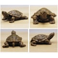 Miniatyrbillede 2 af 6: 2 stk Skildpadde Resin Craft Simulation Mini Skildpadde Skildpadde 2pcs