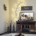 Miniatyrbild 6 av 10: Willow Vine Light Branch String Light AU PLUG AU Plug