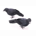 Pikkukuva 7 / 10: Keinotekoiset Crows Feathered Raven LEFT LOOK LEFT LOOK Left Look
