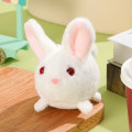 Pikkukuva 1 / 10: Brador Keychain Cat Pehmoavaimenperä VALKOINEN RABIT RABIT white rabbit-rabbit