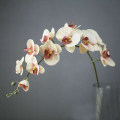 Miniatyrbilde 7 av 10: Sommerfugl Orkide Kunstig Blomst BEIGE Beige