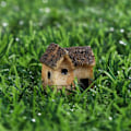 Miniatyrbillede 10 af 10: 10 stk hus miniature figur harpiks dukkehuse 3 3 3