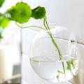 Miniatyrbilde 10 av 10: Hydroponisk vase Terrarium Ball Blomsterpotte L L