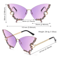 Pikkukuva 3 / 10: Perhosaurinkolasit Naiset Violetti Gradient Gradient yellow