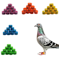 Miniatyrbillede 4 af 10: Due Ringe Due Fugle Clip Ringe MULTICOLOR Multicolor