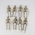Miniatyrbillede 1 af 6: Poseable skelet legetøj Lille skelet figur menneskelige skelet 8 pcs