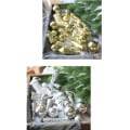 Miniatyrbilde 4 av 10: 21STK/Eske Juletrepynt Juleballpynt red