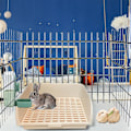 Miniatyrbild 5 av 10: Katt Hund Hängande Vattendispenser Fast Hängande Vattenkokare ORANGE orange feeder-feeder