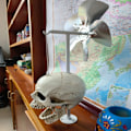 Miniatyrbillede 5 af 7: Skull Wind Spinner Wind Spinner SORT black