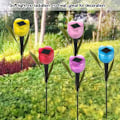 Miniatyrbillede 5 af 10: 2 Stk Tulipaner Solar RED Red