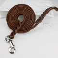Miniatyrbilde 5 av 10: Hundebånd Hunder Lange bånd SBRASS HOOK MESSING HOOK SBrass Hook