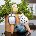 Miniatyrbild 9 av 10: 4 st Uggla självvattnande spikar Växtvattendroppare B B B