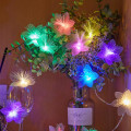Pikkukuva 1 / 10: String Lights Led-valot String MONIVÄRI POWER multicolor battery power-battery power
