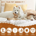 Pikkukuva 6 / 9: Indestructible Dog Chew Lelut Aggressive Chewers Koiran lelut Koirat