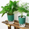 Miniatyrbillede 8 af 10: 2 stk. Selvvandede Blomsterpotter Lazy Flowerpot HVID S White S