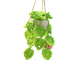 Miniatyrbillede 7 af 10: Plantevedhæng Hæklede planter hængende A A A
